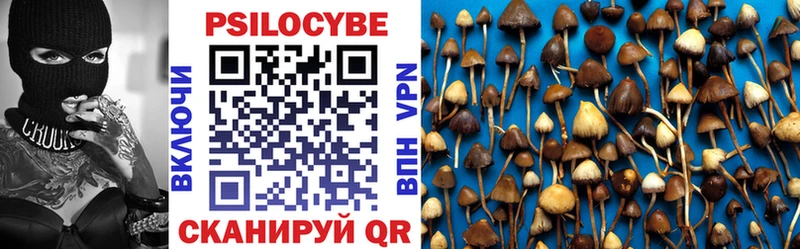 mega зеркало  Североуральск  Псилоцибиновые грибы Psilocybine cubensis 